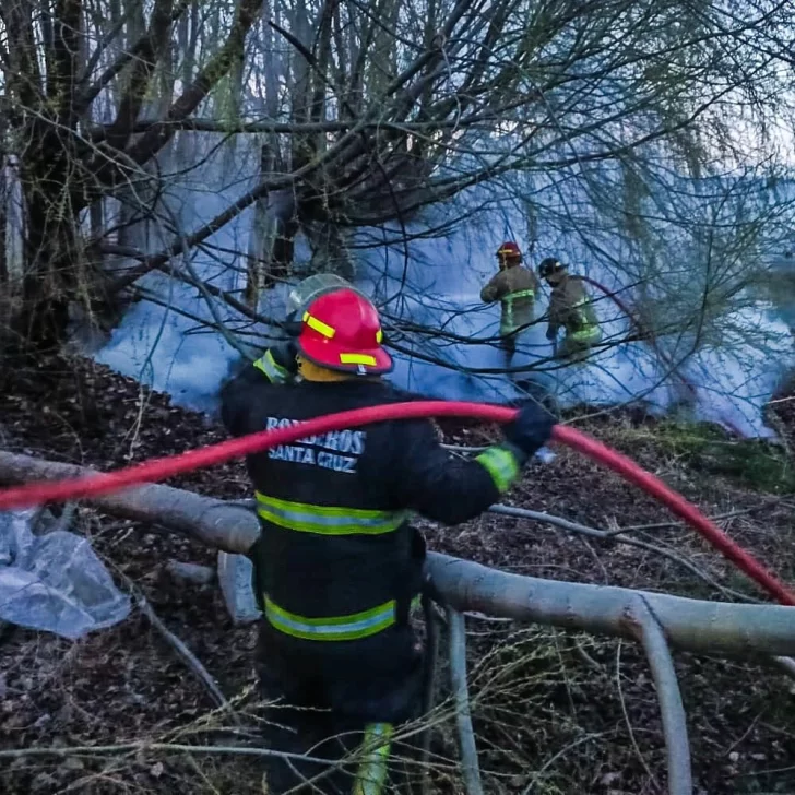 Sofocaron incendio de pastizales en El Calafate: ¡Extremen precauciones con el fuego!