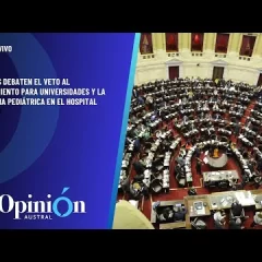 Diputados debaten veto a fondos universitarios y la emergencia pediátrica en el Garrahan