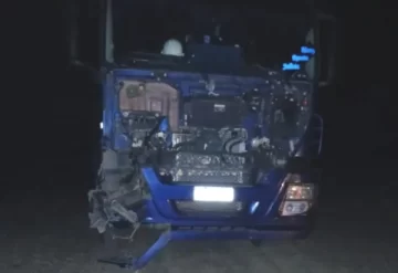 Camión de transporte de gas chocó con un caballo cerca de El Calafate