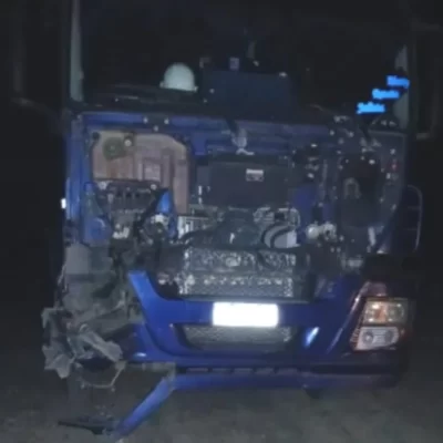 Camión de transporte de gas chocó con un caballo cerca de El Calafate