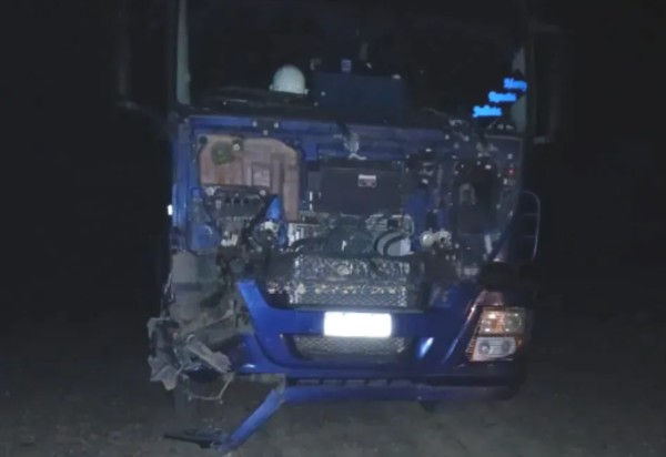 Camión de transporte de gas chocó con un caballo cerca de El Calafate