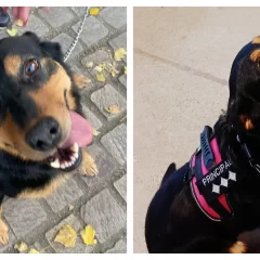 “Principal”, la can de la Escuela de Cadetes, una integrante más de la familia policial