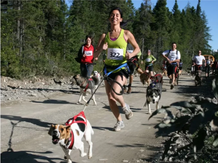 Se viene el 1er Canicross Patagónico en Río Gallegos
