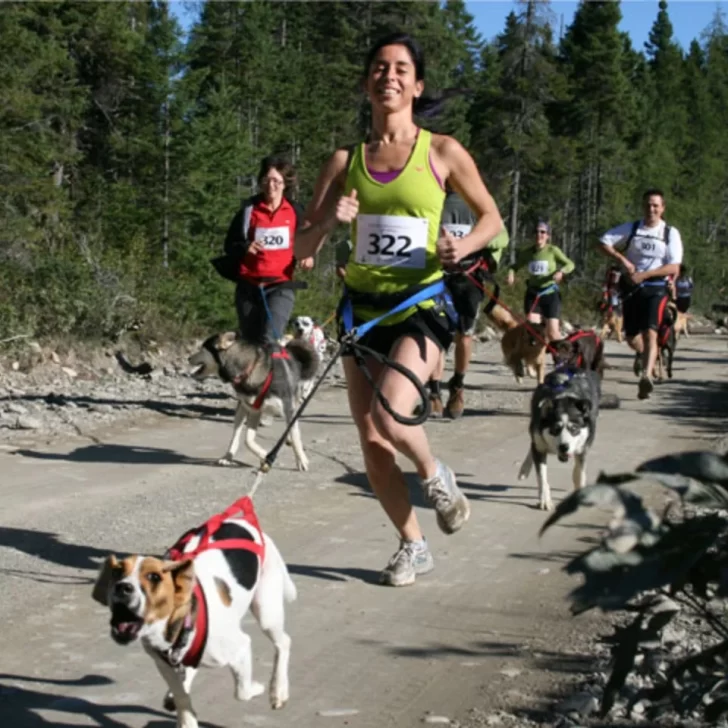 Se viene el 1er Canicross Patagónico en Río Gallegos Se viene el 1er Canicross Patagónico en Río Gallegos