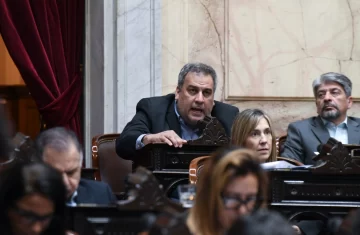 Diputado Facundo Prades a Martín Menem: “Pídale a Milei que escuche a los gobernadores”