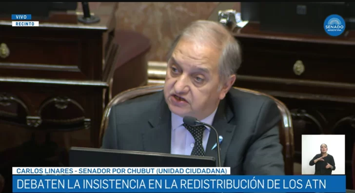  Linares observó que en la Patagonia se perdieron 27 mil puestos de trabajo desde que asumió Milei.