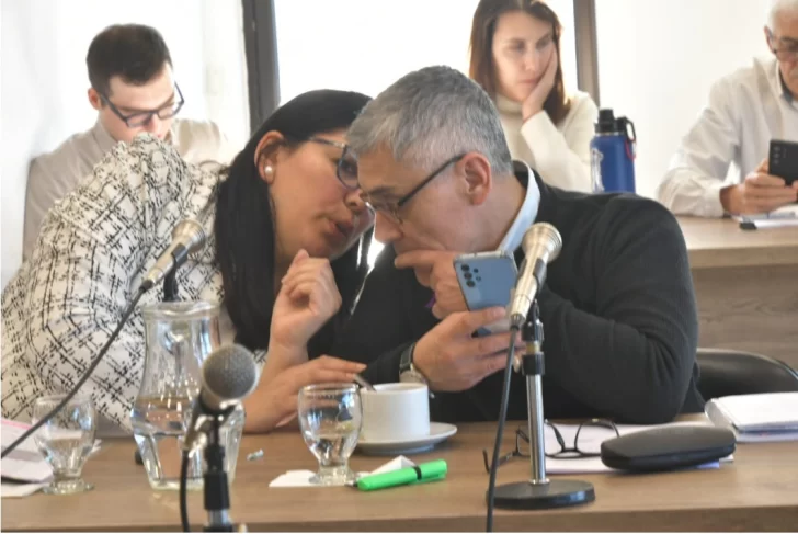  Los diputados Lorena Ponce y Eloy Echazú, poco antes de retirarse de la comisión de Asuntos Constitucionales. (Foto: José Silva/La Opinión Austral).