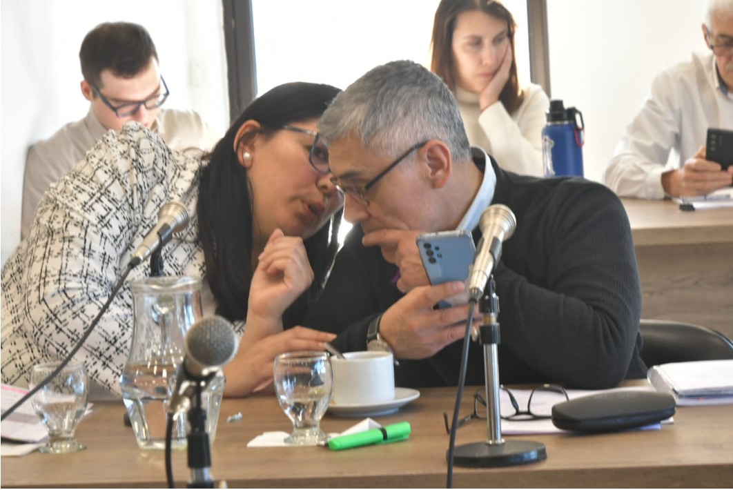  Los diputados Lorena Ponce y Eloy Echazú, poco antes de retirarse de la comisión de Asuntos Constitucionales. (Foto: José Silva/La Opinión Austral).