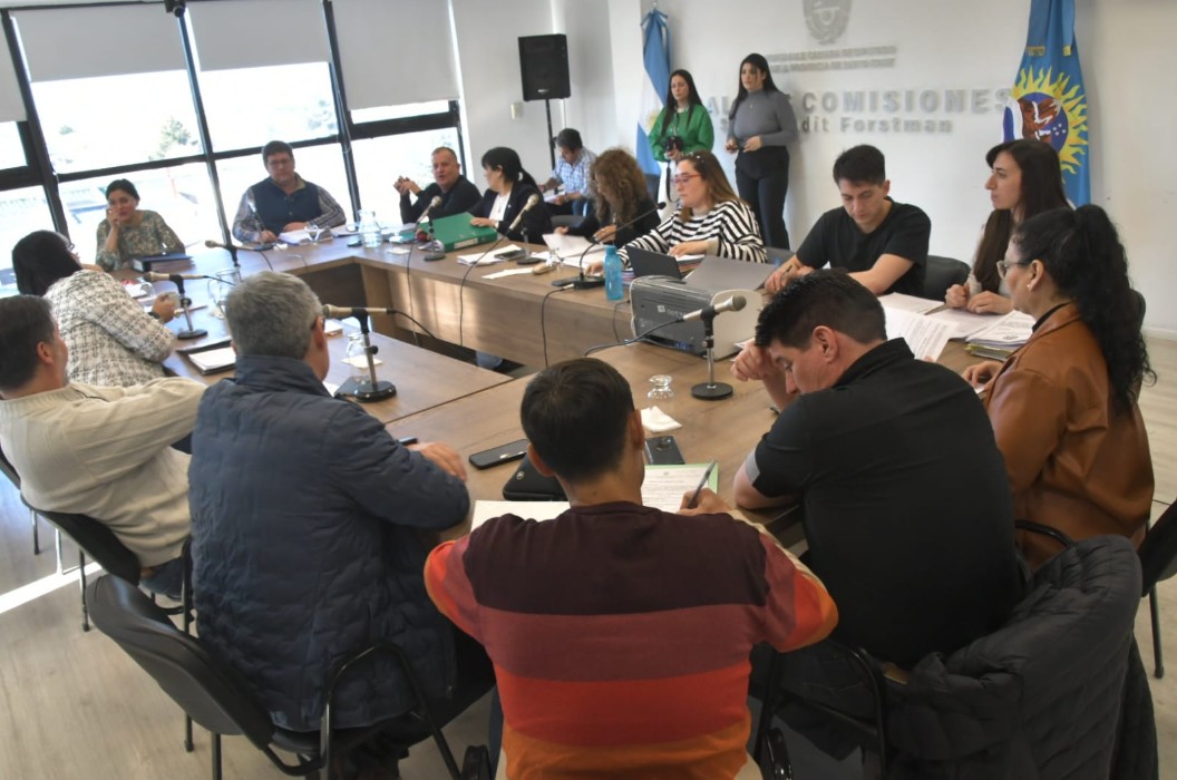  La comisión de Asuntos Constitucionales estuvo más recurrida que de costumbre. (Foto: José Silva/La Opinión Austral).