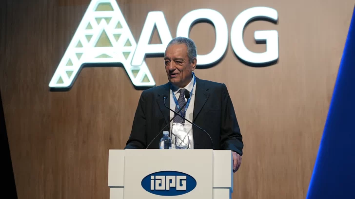  Ernesto López Anadón, presidente del IAPG, en el acto inaugural.