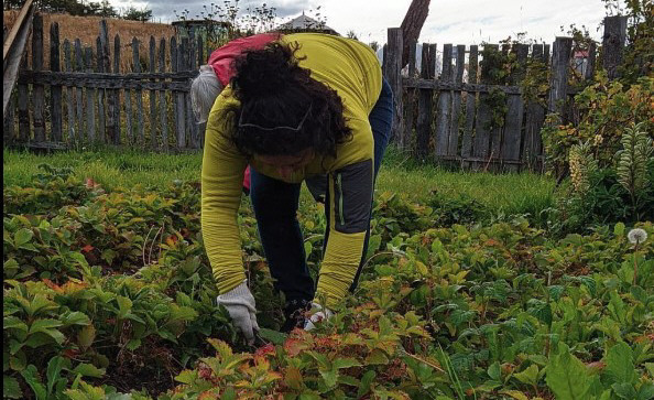  Es momento de ponerse a trabajar. ¡Manos a la tierra! Y a lograr una buena producción.