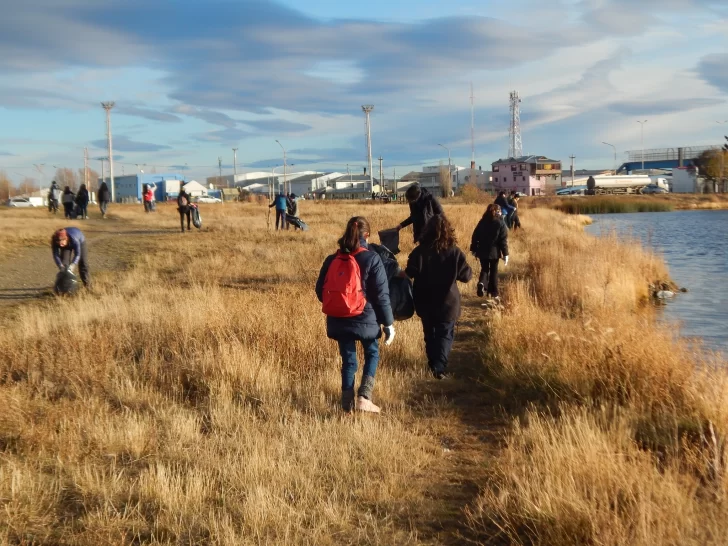  Scouts participando de jornada de Día del Ambiente en junio.