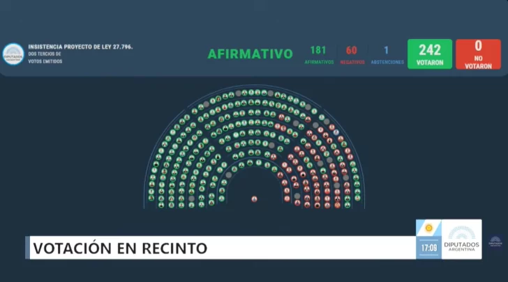 La Cámara de Diputados rechazó los vetos de Milei a la ley de emergencia pediátrica y presupuesto universitario