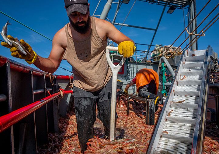 La Patagonia argentina es clave para el desarrollo pesquero.