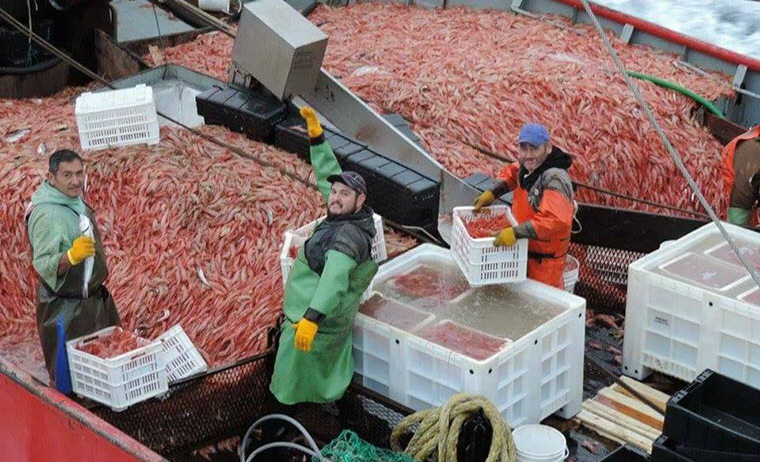  Los empresarios demandaron mayor capacitación para producir mano de obra de calidad.