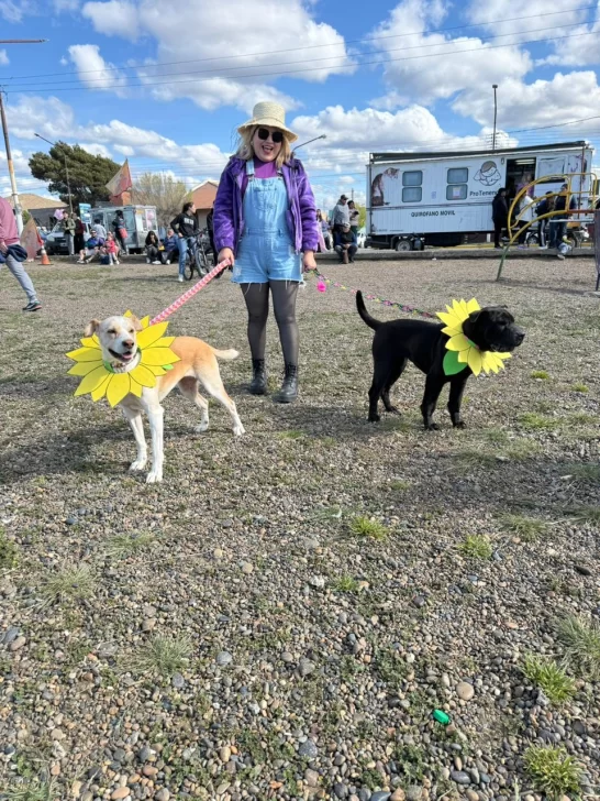 PERROS-EN-EL-SALCHIFEST-546x728 PERROS-EN-EL-SALCHIFEST-546x728