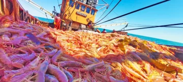 Retenciones cero a la pesca: “Es momento que el debate se de en el Congreso”, dijo Cereseto