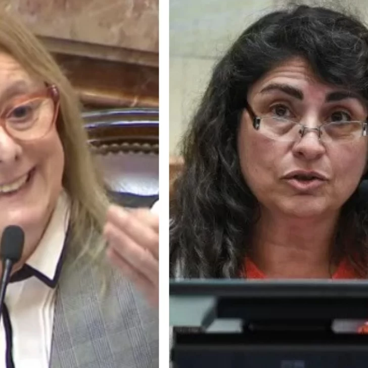 Legisladoras santacruceñas cruzaron al gobierno por no cumplir con la ley de Emergencia en Discapacidad