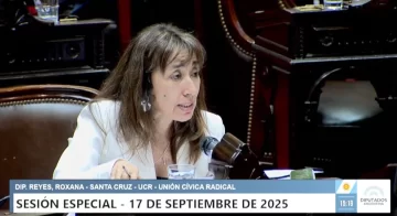 Roxana Reyes “La universidad pública es parte de nuestra identidad” Roxana Reyes “La universidad pública es parte de nuestra identidad”