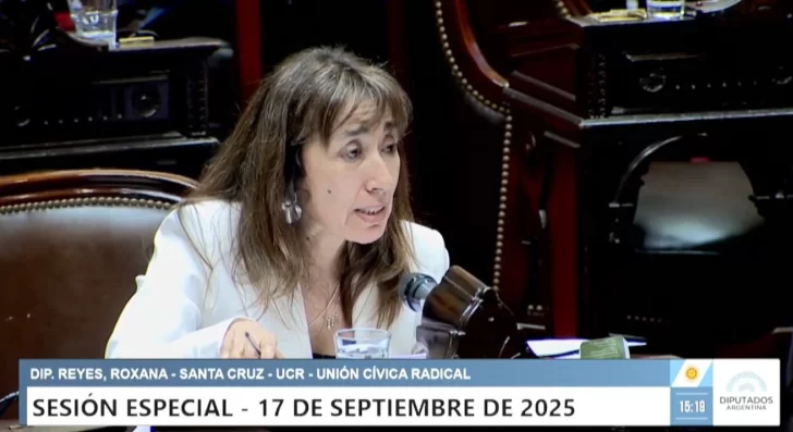 Roxana Reyes “La universidad pública es parte de nuestra identidad”