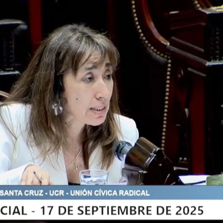 Roxana Reyes “La universidad pública es parte de nuestra identidad” Roxana Reyes “La universidad pública es parte de nuestra identidad”