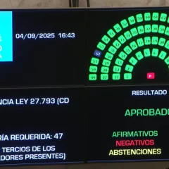 Rechazaron el veto de Milei y la Emergencia en Discapacidad es ley