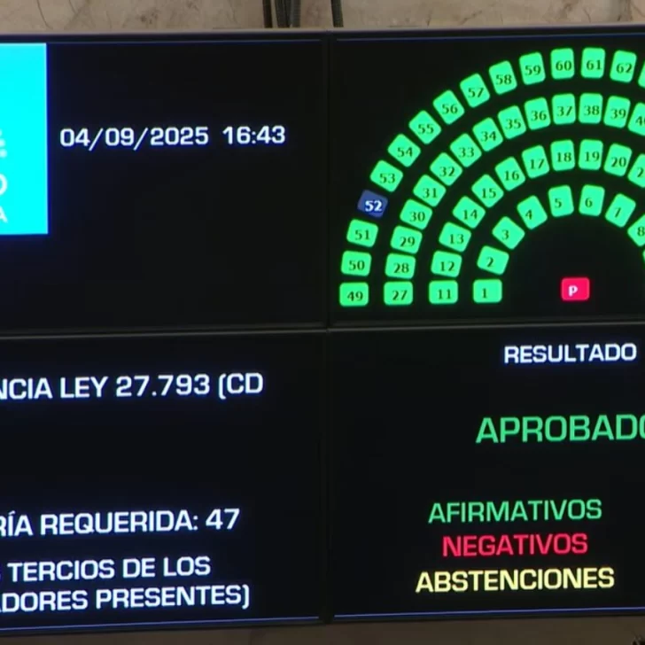 Rechazaron el veto de Milei y la Emergencia en Discapacidad es ley