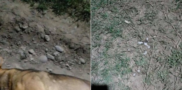 Se correrá la tercera edición del “Tehuelches corre” En El Calafate