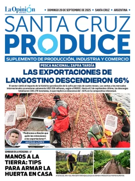 Tapa Suplemento Santa Cruz Produce: Las exportaciones de langostino descendieron 66%