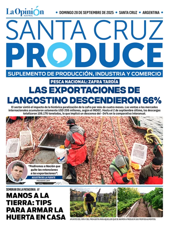 Por la zafra tardía, las exportaciones de langostino descendieron 66%