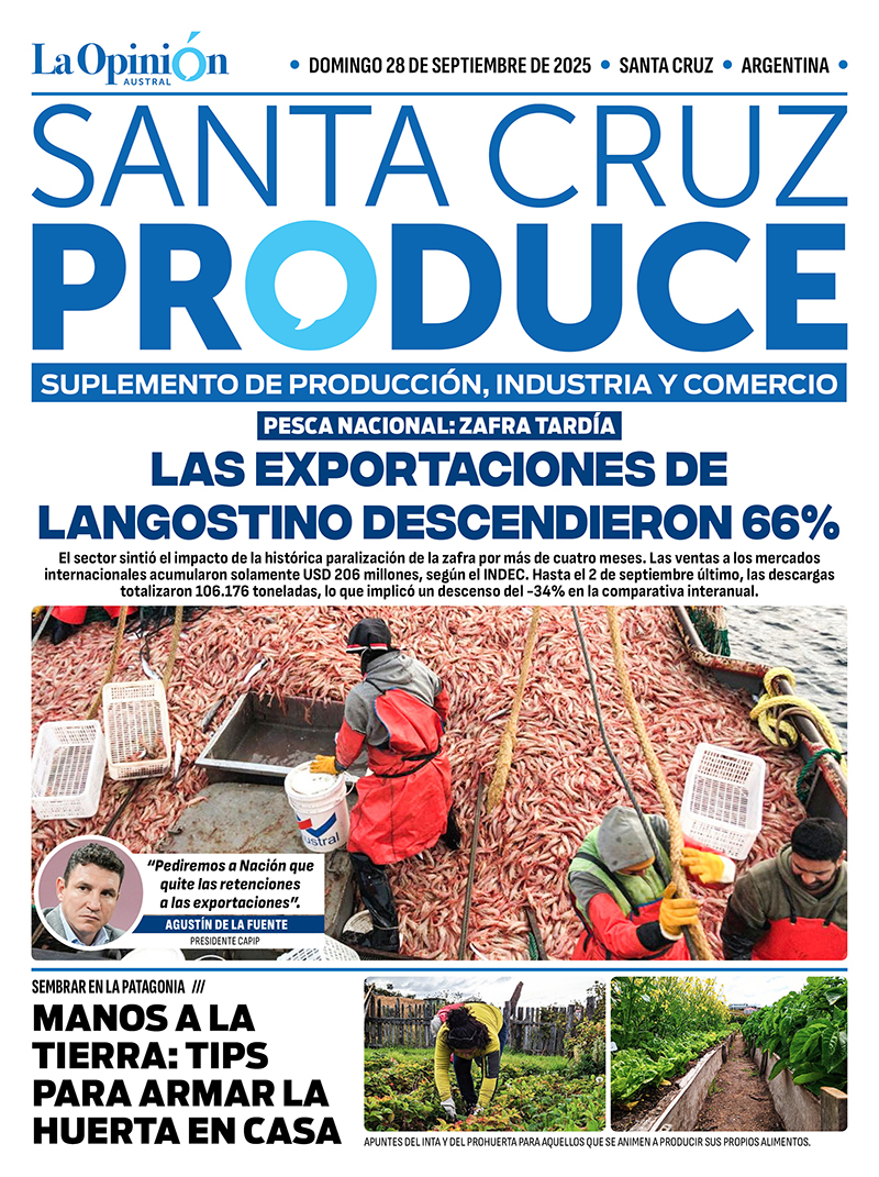Por la zafra tardía, las exportaciones de langostino descendieron 66%