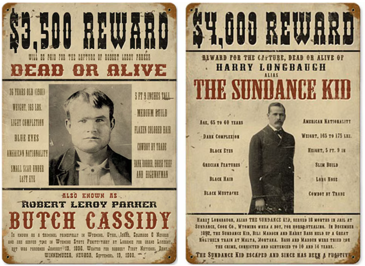  Vivos o muertos: los avisos de buscados del dúo de delincuentes.