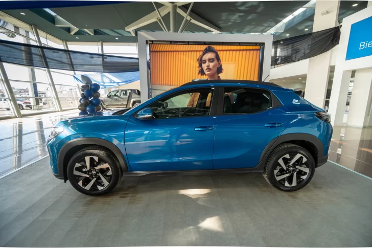 Volkswagen-Tera-1-728x485