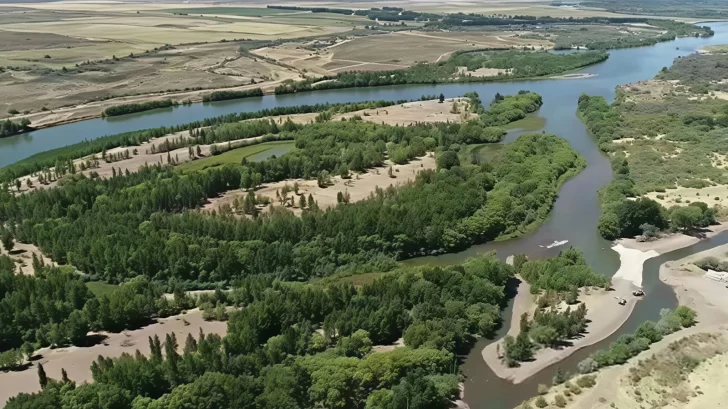 ¿Abducción en Choele Choel?