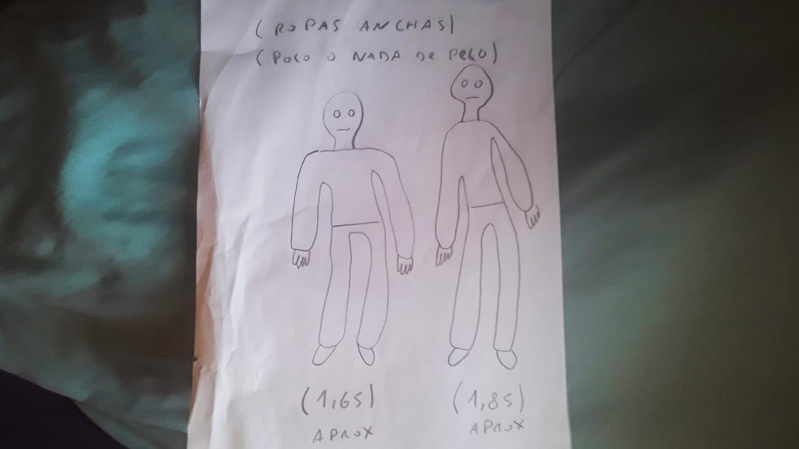  Dibujo realizado por el testigo.