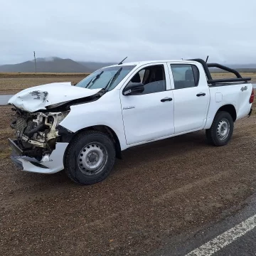 Un hombre se salvó de milagro luego que su camioneta chocó contra un guanaco Un hombre se salvó de milagro luego que su camioneta chocó contra un guanaco