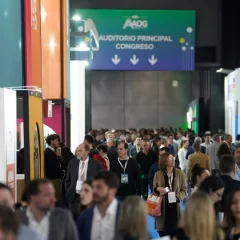 La industria del Oil & Gas podría generar hasta 38.000 millones de dólares anuales en divisas