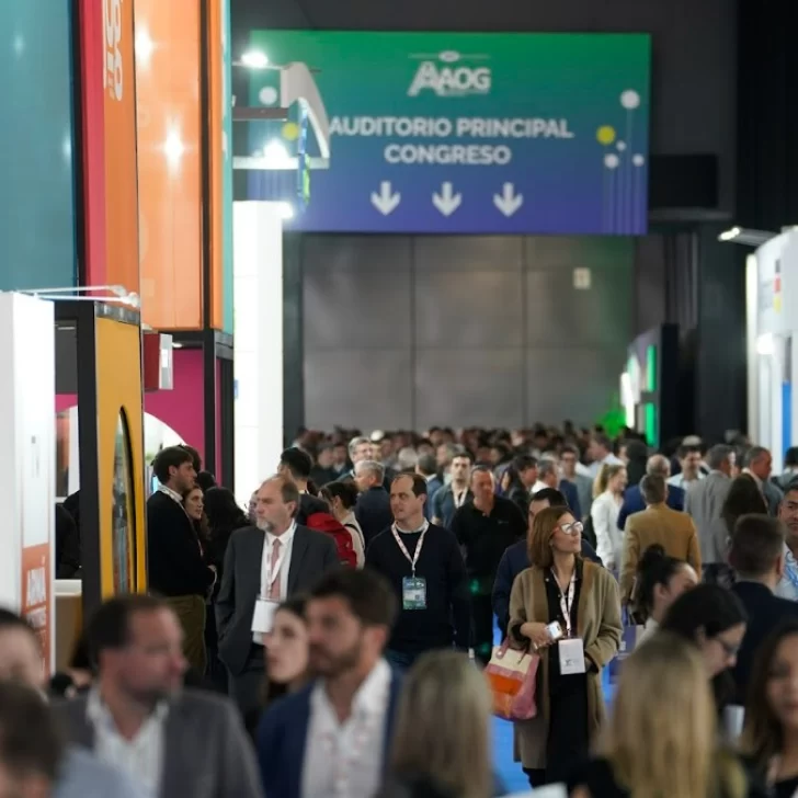 La industria del Oil & Gas podría generar hasta 38.000 millones de dólares anuales en divisas