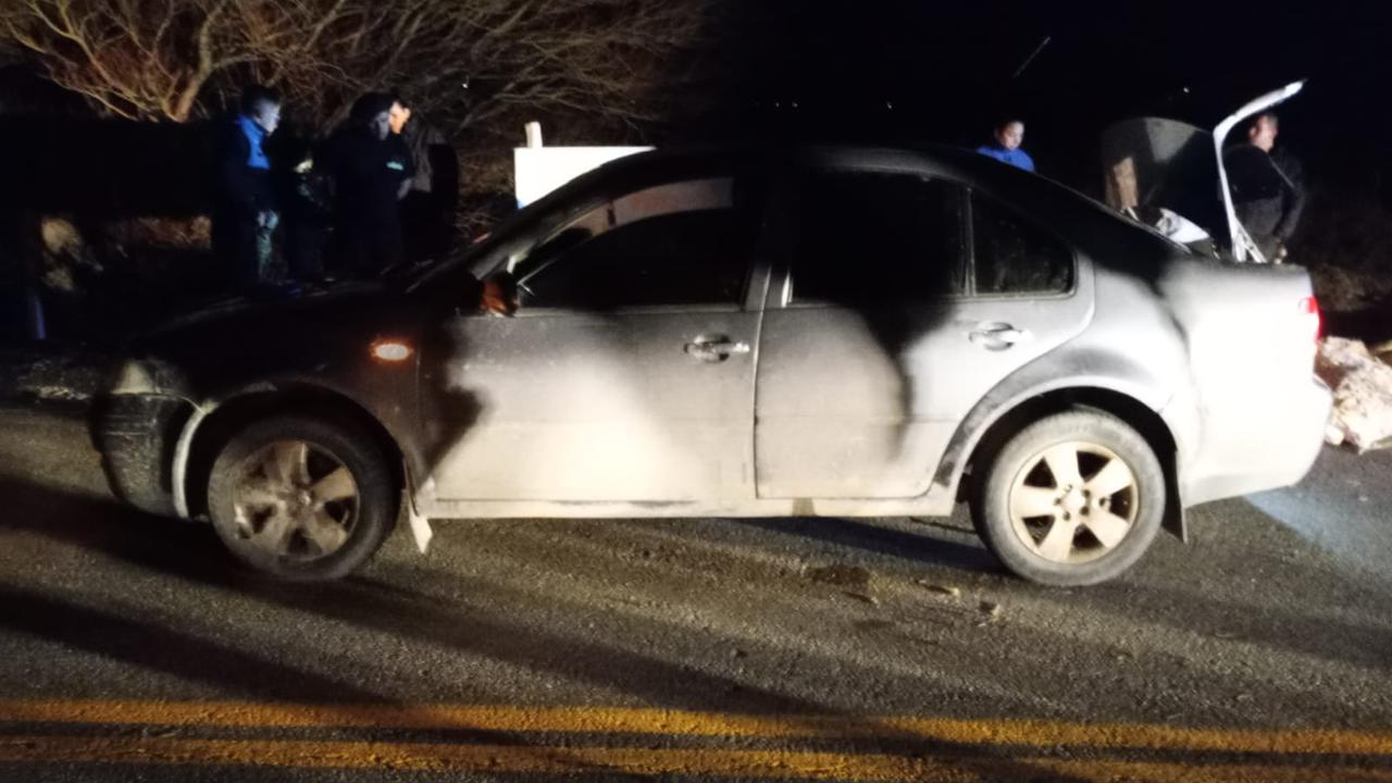 Tentativa de abigeato en Santa Cruz: llevaban ocho ovejas en un auto y los descubrieron en un control policial