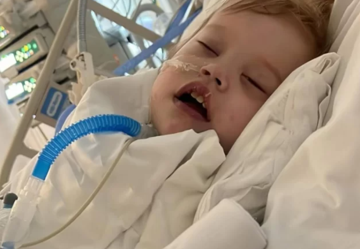 “Murieron muchas partes de su cerebro”: el diagnóstico que dejó a Ekatherina sin opción de trasplante