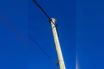 Bomberos rescataron a un gatito en Caleta Olivia: “¡Final feliz!”