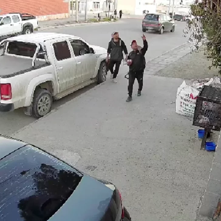 Insólito: intentaron robar una gallina y fueron descubiertos por sus dueños Insólito: intentaron robar una gallina y fueron descubiertos por sus dueños