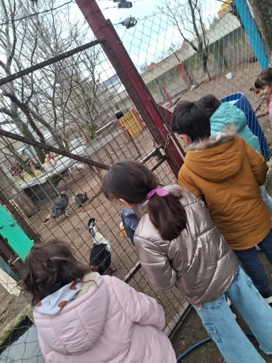  La granja y el invernadero de La Taperita forman parte del proyecto educativo donde los niños aprenden sobre naturaleza, cuidado y convivencia con los animales.