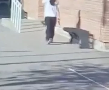 Una alumna de 14 años llevó un revólver a la escuela, disparó y se atrincheró en Mendoza Una alumna de 14 años llevó un revólver a la escuela, disparó y se atrincheró en Mendoza