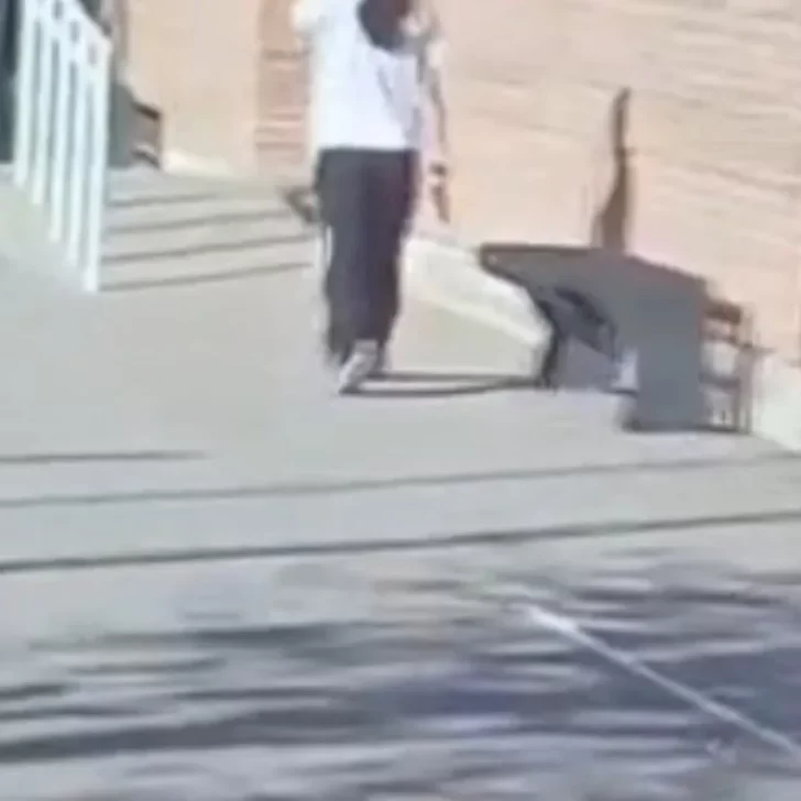 Una alumna de 14 años llevó un revólver a la escuela, disparó y se atrincheró en Mendoza Una alumna de 14 años llevó un revólver a la escuela, disparó y se atrincheró en Mendoza