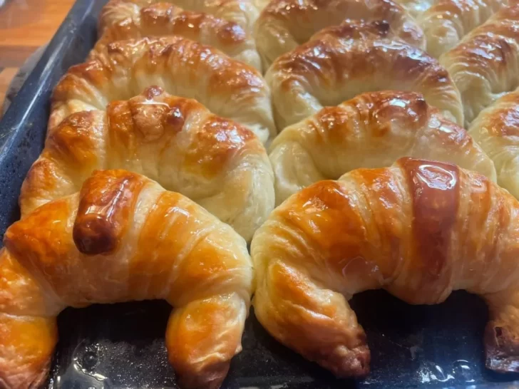 receta-de-medialunas-728x546