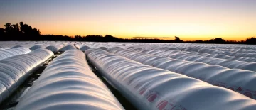 Javier Milei eliminó retenciones a los granos hasta el 31 de octubre: cuáles son los productos