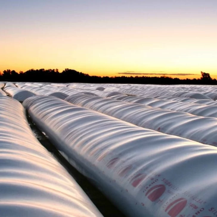 Javier Milei eliminó retenciones a los granos hasta el 31 de octubre: cuáles son los productos