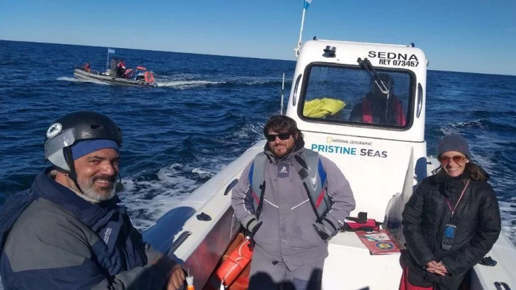 CONICET impulsa el avistaje de ballenas sei en Comodoro Rivadavia