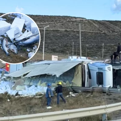Volcó un camión con pescado en Ruta 3 y un centenar de vecinos intentó llevarse la carga: “Es un delito”, advirtió la policía